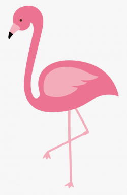 Face Vector Flamingo - Transparent Background Flamingo ...