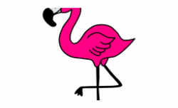 Flamingo Clipart Face - Cute Flamingo Free PNG Images & Clipart ...