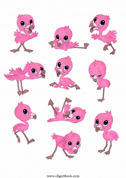 LE - pink Baby Flamingofree vector clipart designs for digitizers ...