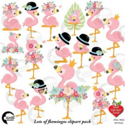 Baby Flamingo clipart, Pink Flamingos, DYI Clipart Kit, AMB-2473