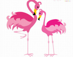Flamingo border clipart clipart kid - Clipartix