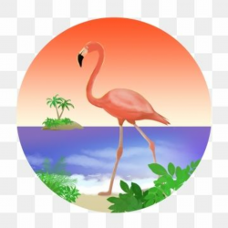 2019 的 Commercial Dreamy Tropical Sunset Island Bird Plant Beach ...