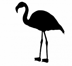 Flamingo bird silhouette clipart free stock photo public domain ...