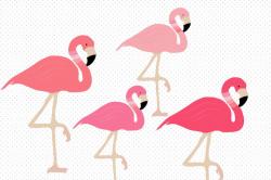 Cute Flamingo Clipart