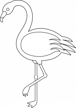 Colorable Flamingo - Free Clip Art | Other Projects | Flamingo ...