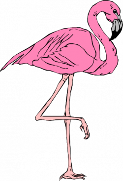 Free Pink Flamingo Cliparts, Download Free Clip Art, Free Clip Art ...