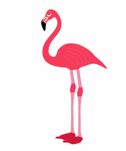 Pink flamingo bird clipart free stock photo public domain pictures ...