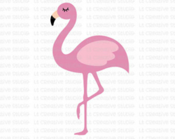 Head clipart flamingo - 37 clip arts for free download on ...