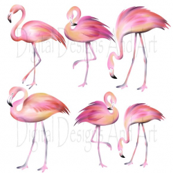 Pink Flamingo Clipart Interesting Realistic 1 | www.thelockinmovie.com