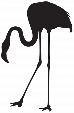 Flamingo Silhouette PNG Transparent Clip Art Image | Gallery ...