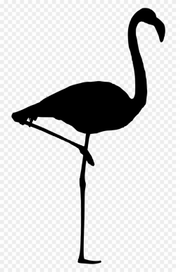 Silhouette,flamingo Isolated,free Vector - Flamingo Vektör Clipart ...