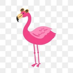 2019 的 Hand Drawn Cute Pink Flamingo With Sunglasses, Cartoon, Bird ...