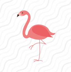 Collection of Flamingo clipart | Free download best Flamingo clipart ...