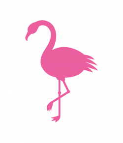 Flamingo Png | Free download best Flamingo Png on ClipArtMag.com