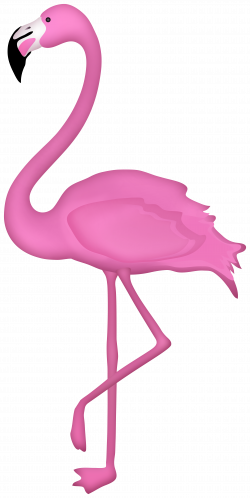 Flamingo Bird Transparent Image | Gallery Yopriceville - High ...