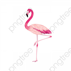 Proud Flamingo Transparent Background Basemap, Flamingo Clipart ...