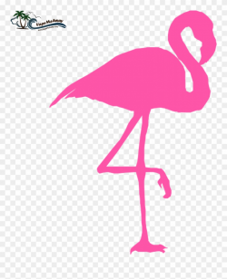 Pink Flamingo - Cliparts - Co - Clipart Flamingo Png Transparent Png ...