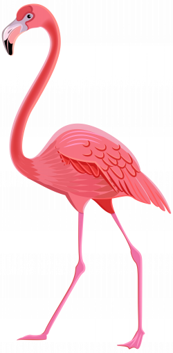 Flamingo PNG Transparent Clip Art Image | Gallery Yopriceville ...