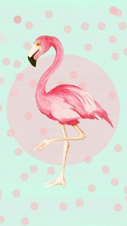 Pin by Lynn Dees on FLAMINGOS ..... | Flamingo, Wallpaper, Flamingo art