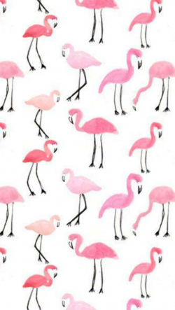 flamingo iphone wallpaper | Tumblr