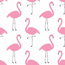 Flamingo Wallpaper premium clipart - ClipartLogo.com