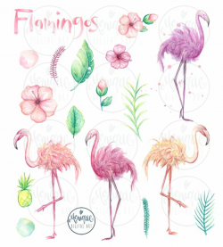 Flamingo clipart, watercolor
