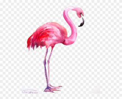 Flamingo Watercolor Painting Clipart (#2460364) - PinClipart