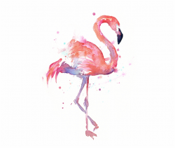 Flamingo Transparent Painted, Picture - Watercolor Flamingo Free PNG ...