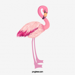 Flamingo Png, Vector, PSD, and Clipart With Transparent Background ...