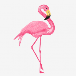Watercolor Flamingo Vector, Watercolor, Flamingo, Vector PNG ...