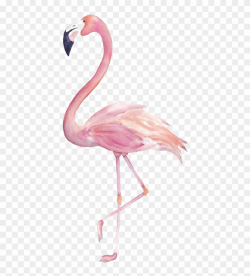 Flamingo Png Image Transparent - Flamingo Clipart Watercolor, Png ...