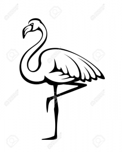 Flamingo clipart black and white » Clipart Portal