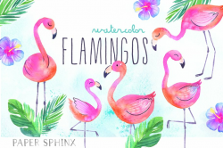 Watercolor Tropical Flamingo Clipart