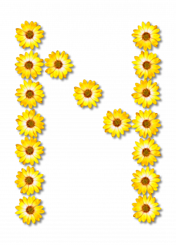 Clipart - Floral alphabet, N