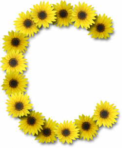 Alfabeto sunflowers .....C | ALFABETOS CON FLORES | Pinterest ...