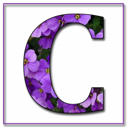 Pin by Harish Soni on alphabets | Alphabet, Lettering, Purple flowers