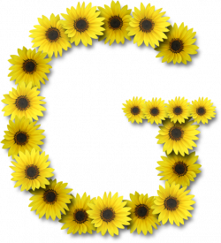 Alfabeto sunflowers .....G | Letters | Alphabet, Lettering, Alphabet ...