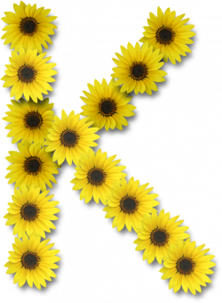 Alfabeto sunflowers .....K | K is for...... | Pinterest | Alphabet ...