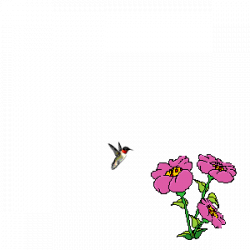 FREE ANIMATION: ANIMATED FLOWER