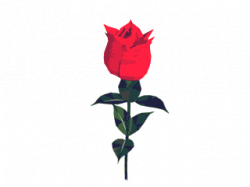 Funny Moving Animations | flower+animated+43453.gif | GIF,S ...