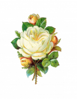 Pin by Kamala on Vingtage Flowers Clipart | Vintage flowers, Vintage ...