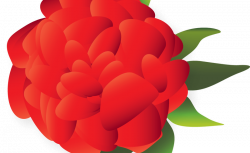 Mexican flower clip freeuse library png - RR collections