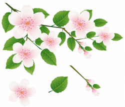 Free Flower Branches Cliparts, Download Free Clip Art, Free Clip Art ...