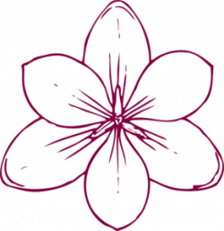 Free Maroon Flower Cliparts, Download Free Clip Art, Free Clip Art ...