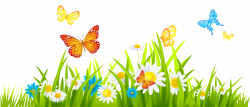 Flower and butterfly vector download - RR collections