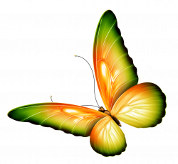 Free Flowers And Butterflies Clipart, Download Free Clip Art, Free ...