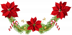 Free jpg free download christmas flowers - RR collections