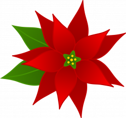 Christmas flowers vector library - RR collections