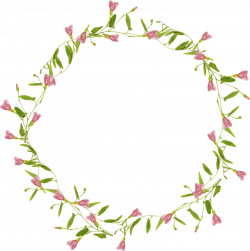 Flower circle border jpg black and white stock - RR collections