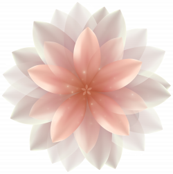 Flower clipart transparent background collection